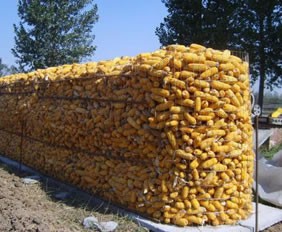 苏州圈玉米电焊网使用案例